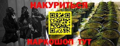 трава Кулебаки